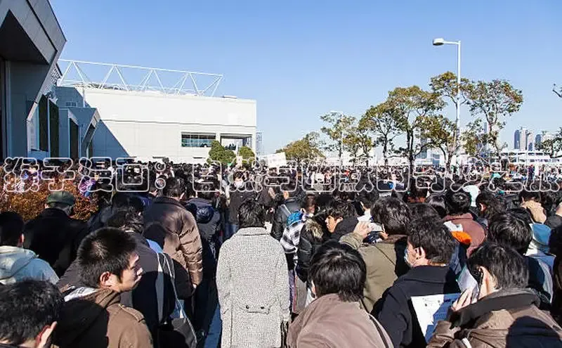 猴子漫画：自然与幽默的奇妙之旅